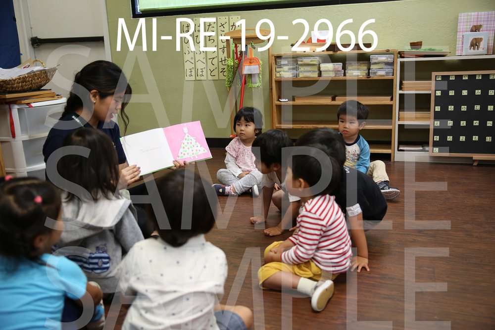 MI-RE-19-2966.jpg