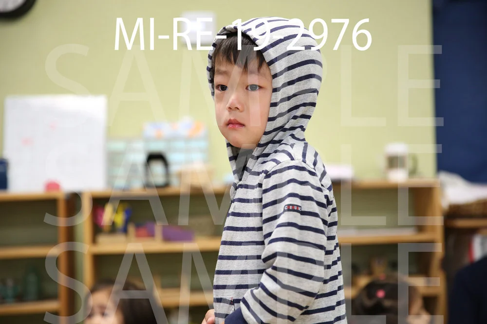 MI-RE-19-2976.jpg
