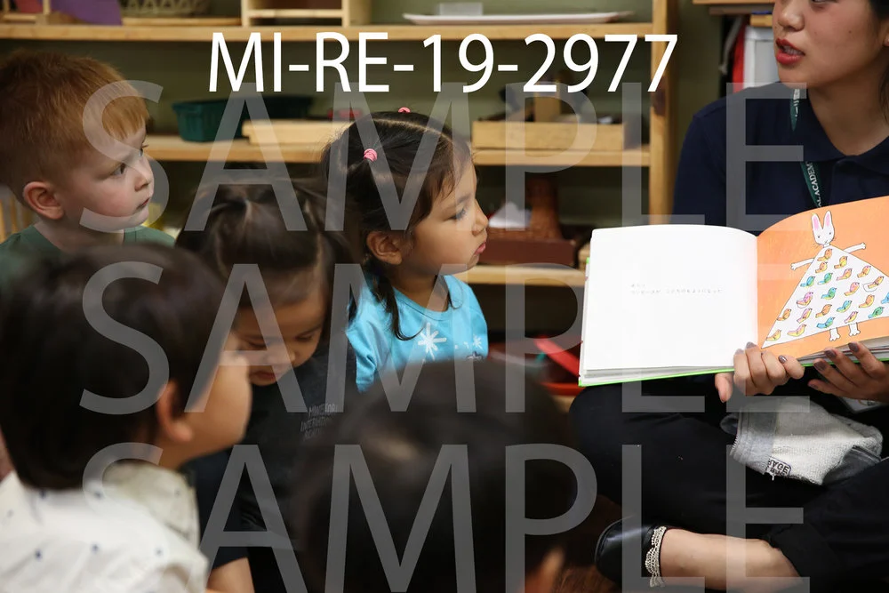 MI-RE-19-2977.jpg