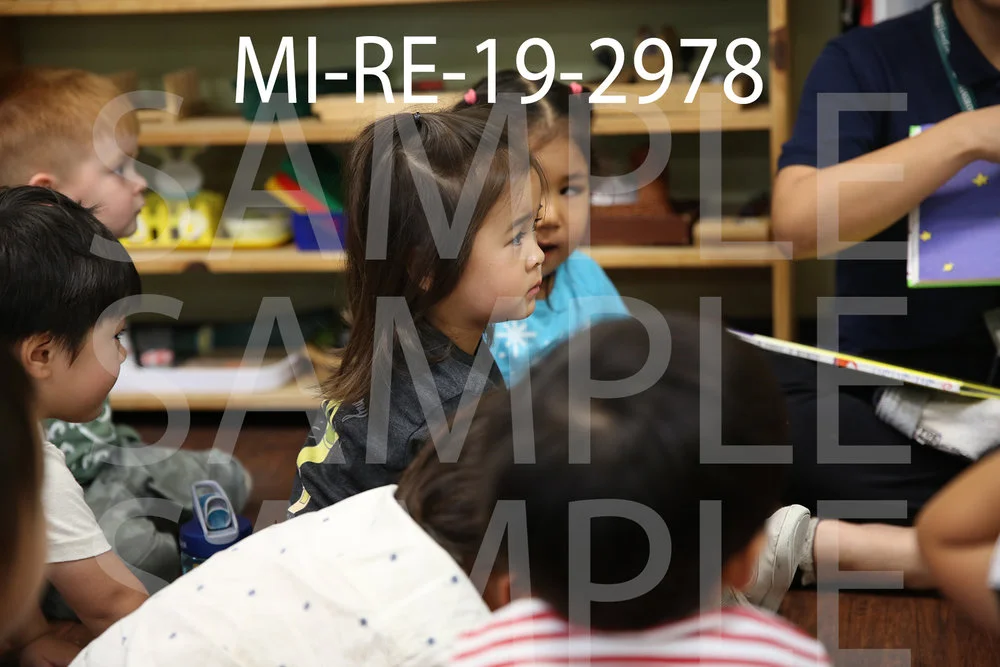 MI-RE-19-2978.jpg