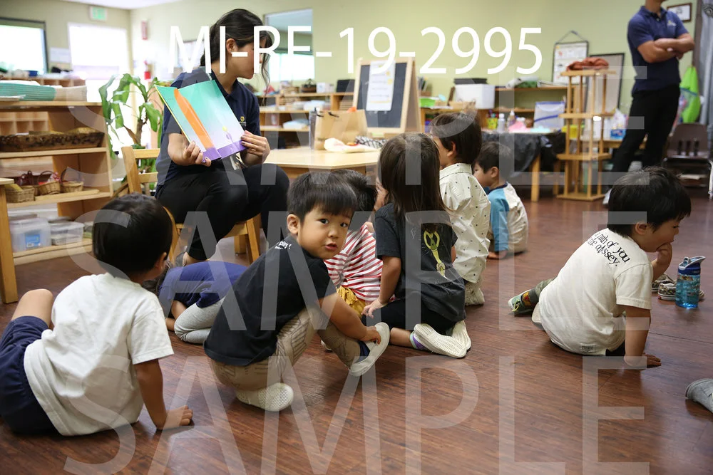 MI-RE-19-2995.jpg