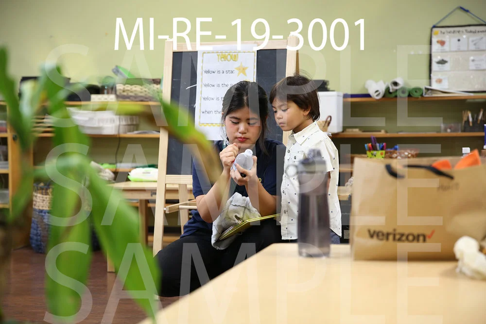 MI-RE-19-3001.jpg