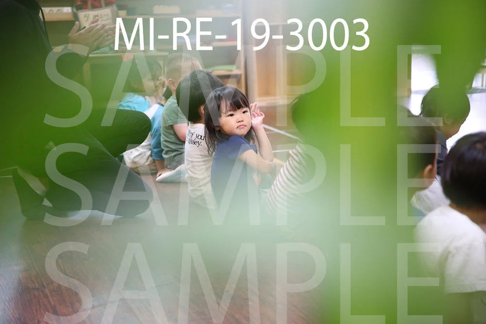 MI-RE-19-3003.jpg