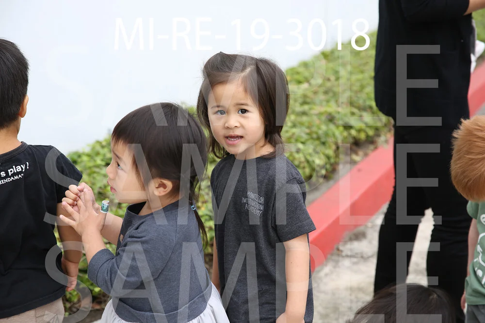 MI-RE-19-3018.jpg