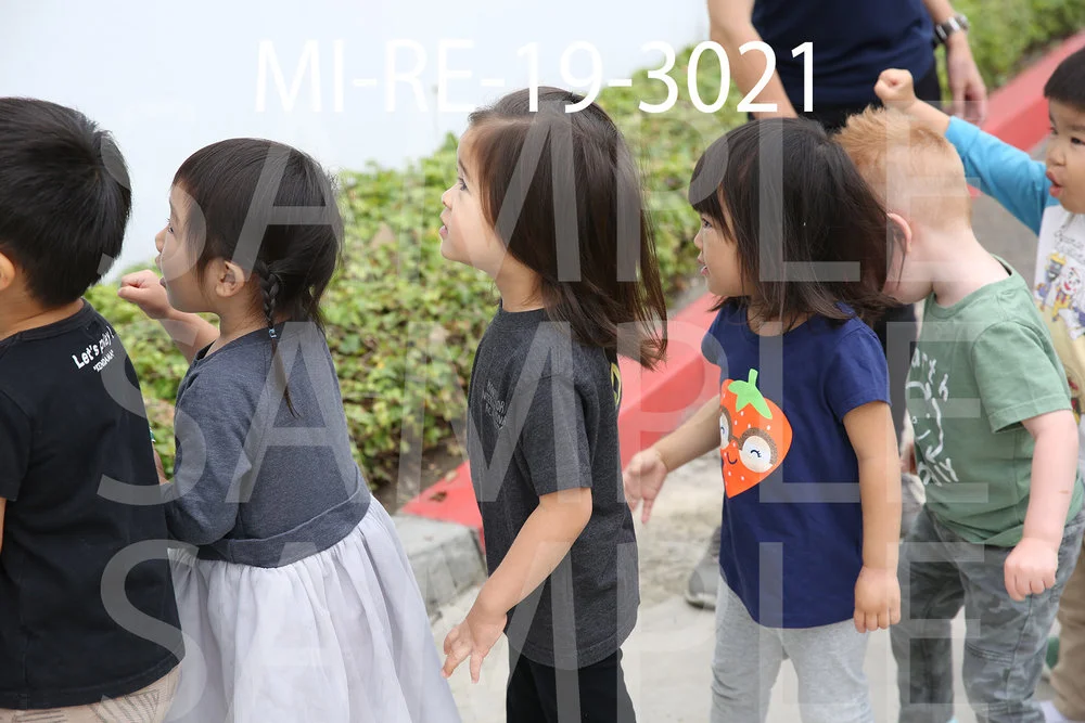 MI-RE-19-3021.jpg