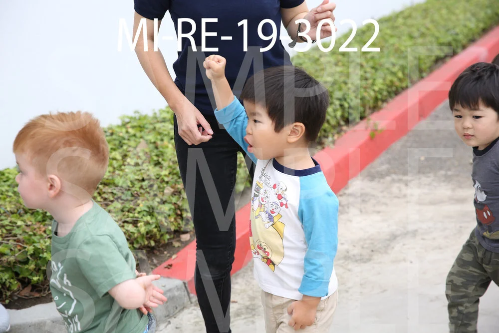 MI-RE-19-3022.jpg