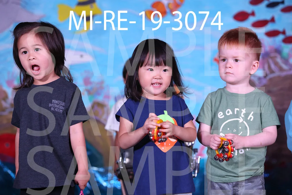 MI-RE-19-3074.jpg