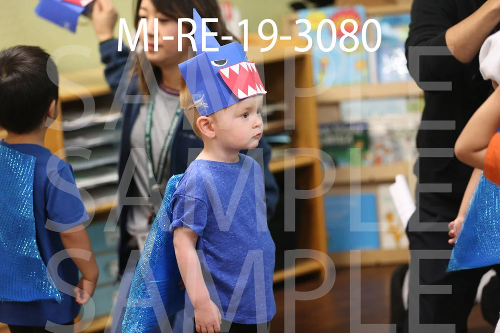 MI-RE-19-3080.jpg