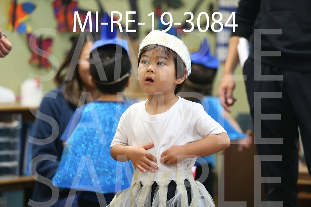 MI-RE-19-3084.jpg