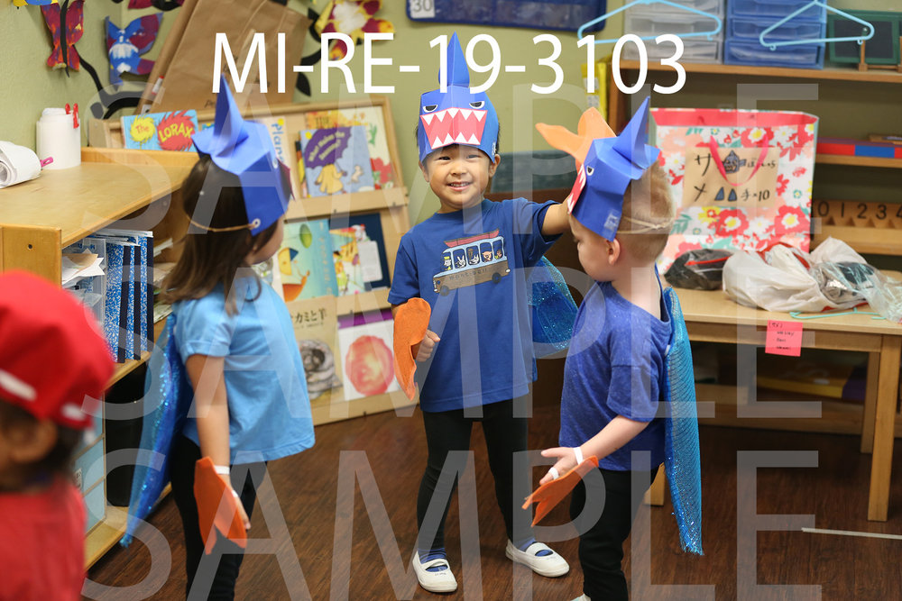 MI-RE-19-3103.jpg