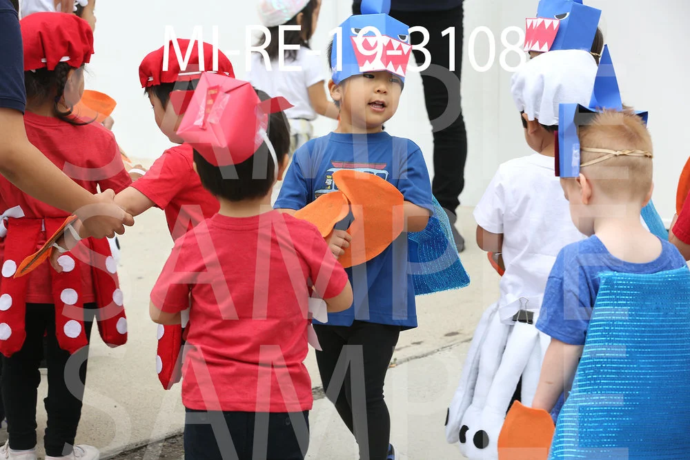 MI-RE-19-3108.jpg