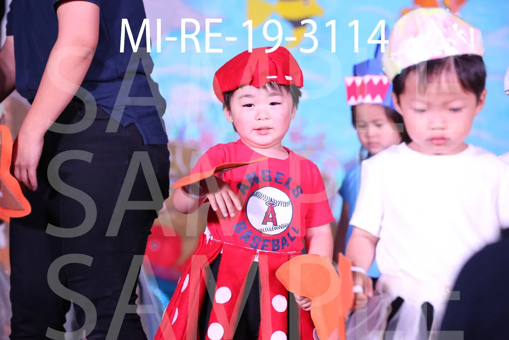 MI-RE-19-3114.jpg