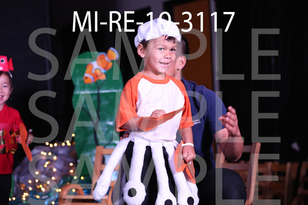 MI-RE-19-3117.jpg