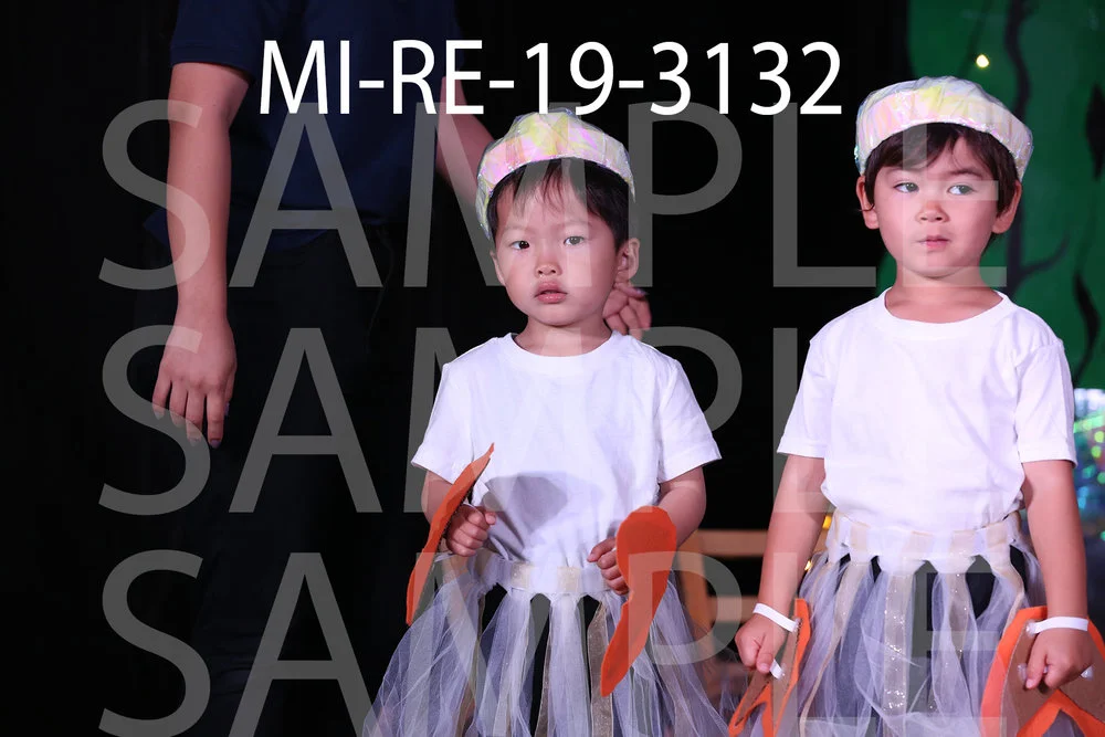 MI-RE-19-3132.jpg
