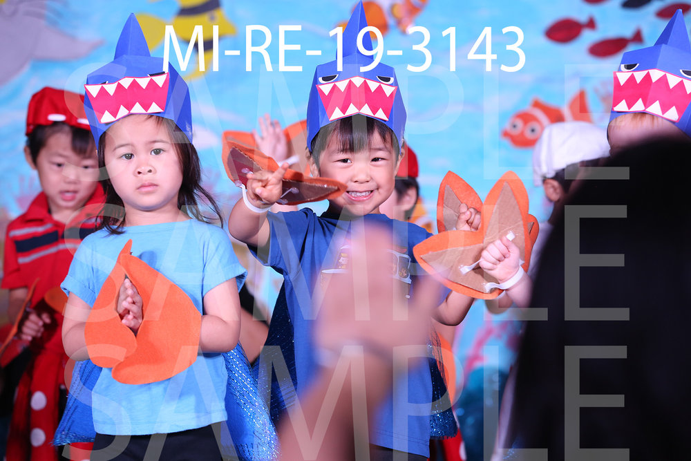 MI-RE-19-3143.jpg