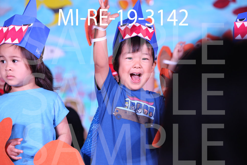 MI-RE-19-3142.jpg