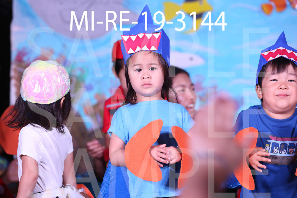 MI-RE-19-3144.jpg