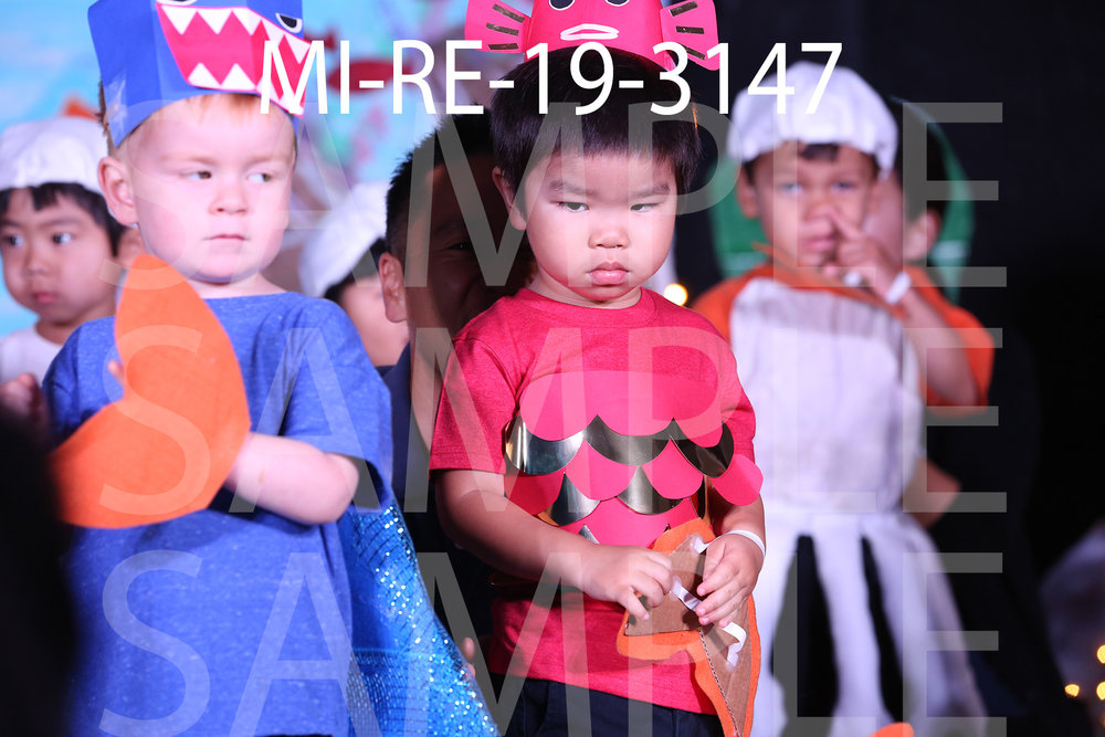 MI-RE-19-3147.jpg