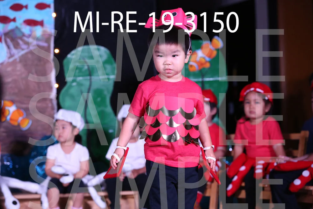 MI-RE-19-3150.jpg