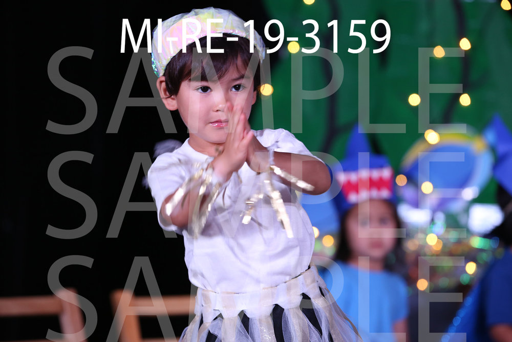 MI-RE-19-3159.jpg