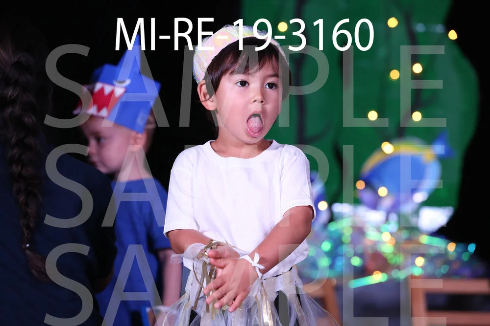 MI-RE-19-3160.jpg