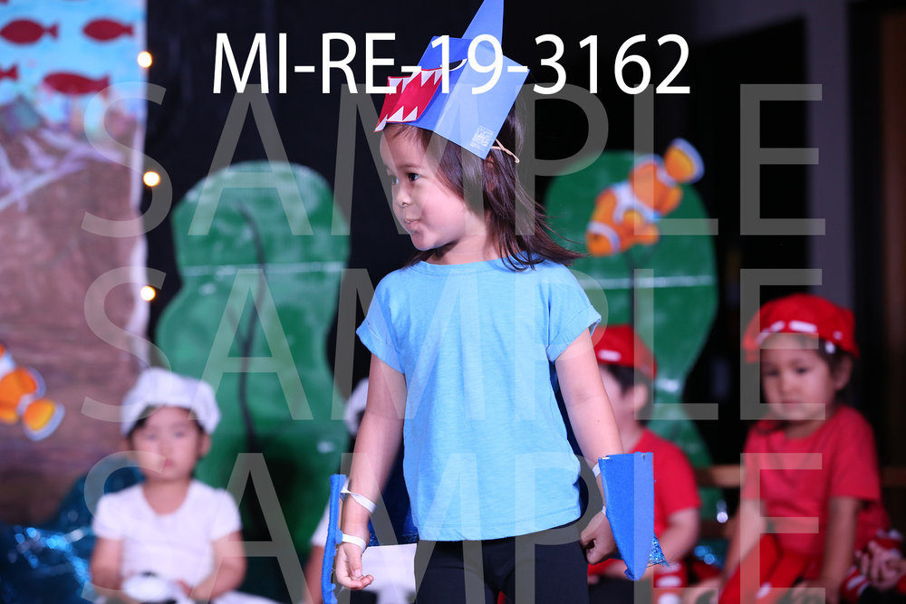 MI-RE-19-3162.jpg