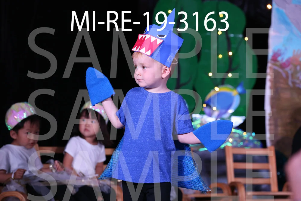 MI-RE-19-3163.jpg