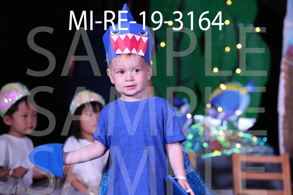 MI-RE-19-3164.jpg