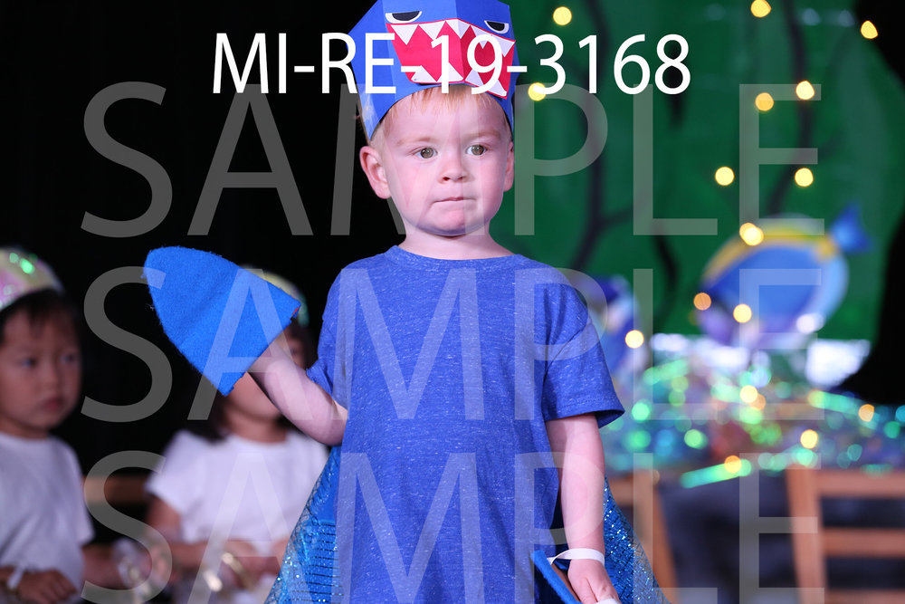 MI-RE-19-3168.jpg