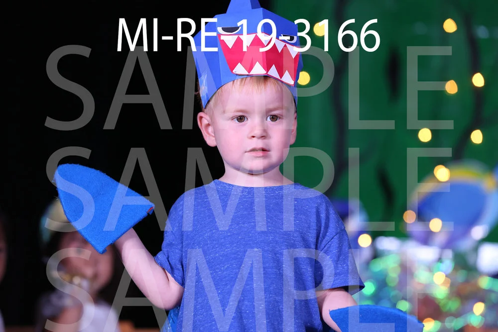 MI-RE-19-3166.jpg