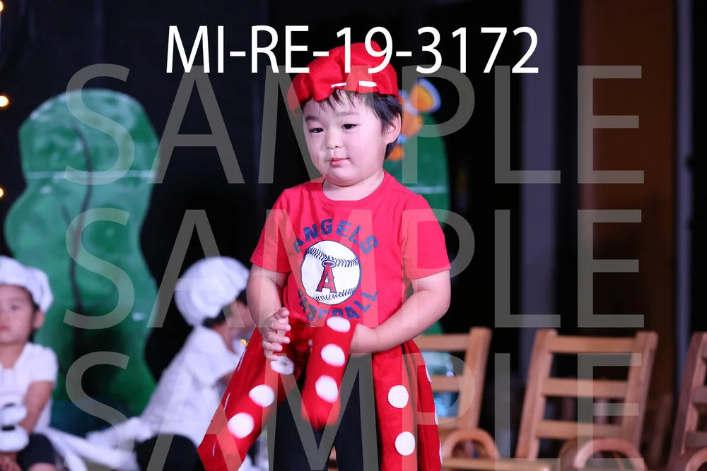 MI-RE-19-3172.jpg