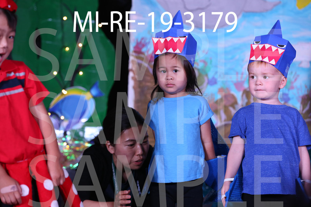 MI-RE-19-3179.jpg