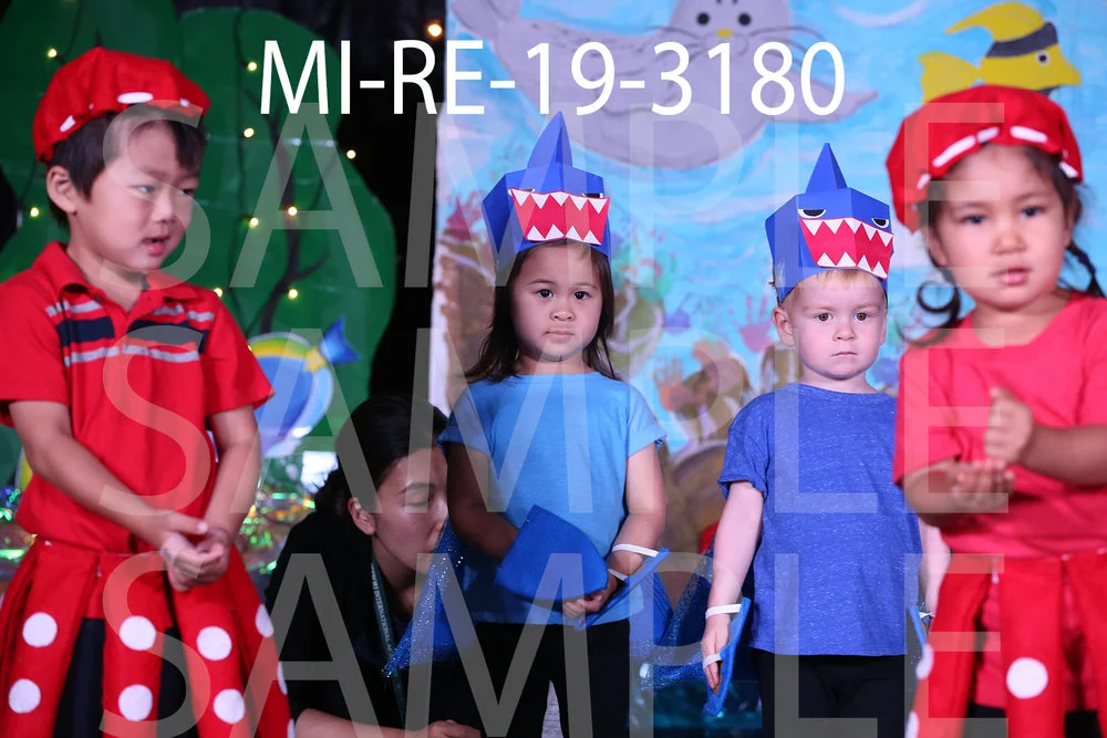 MI-RE-19-3180.jpg