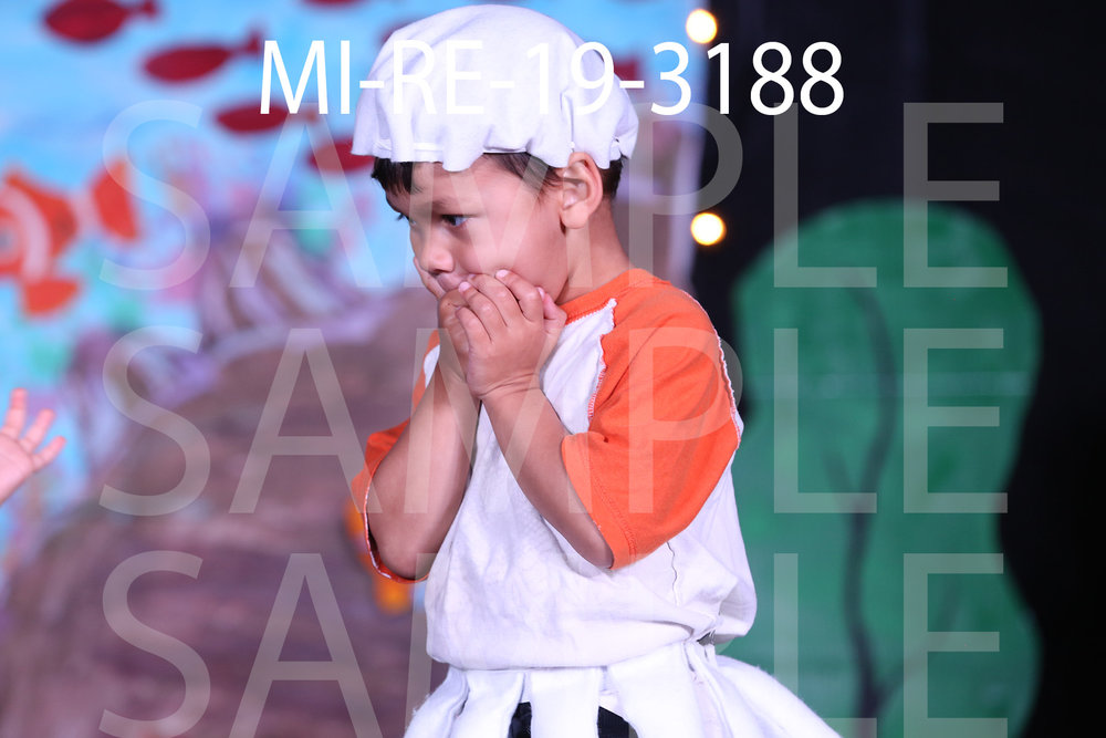 MI-RE-19-3188.jpg