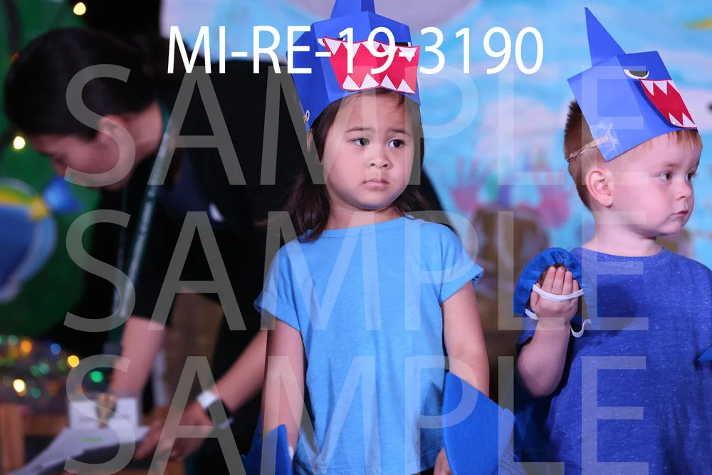 MI-RE-19-3190.jpg