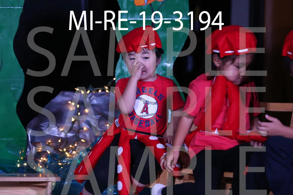 MI-RE-19-3194.jpg