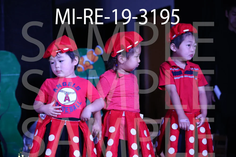 MI-RE-19-3195.jpg