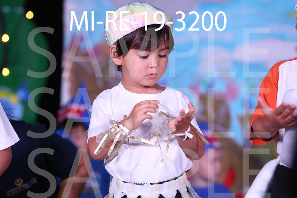 MI-RE-19-3200.jpg