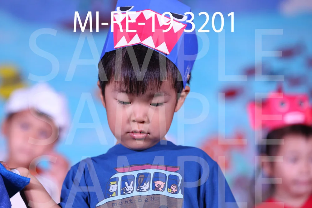 MI-RE-19-3201.jpg