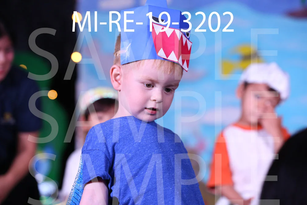 MI-RE-19-3202.jpg