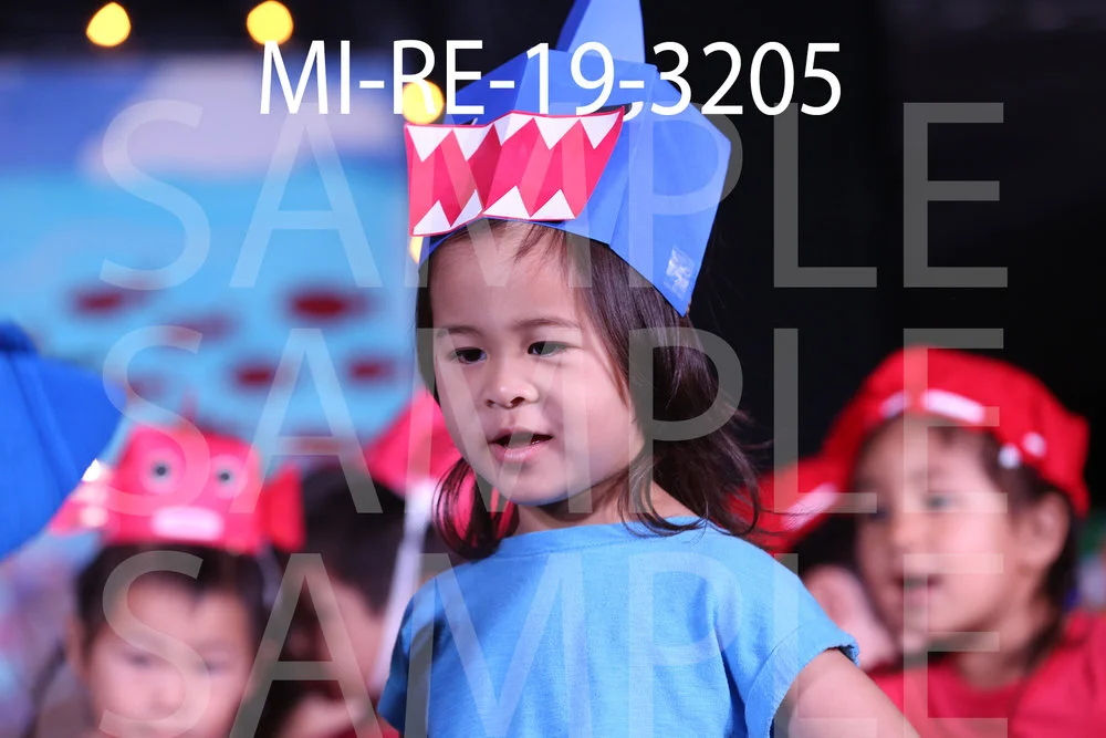 MI-RE-19-3205.jpg