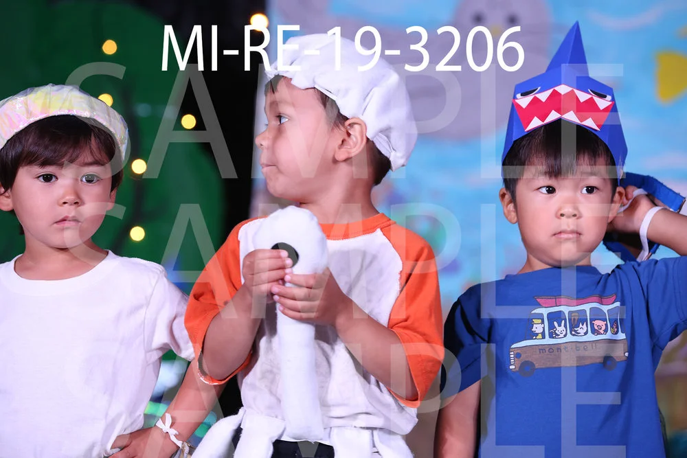MI-RE-19-3206.jpg