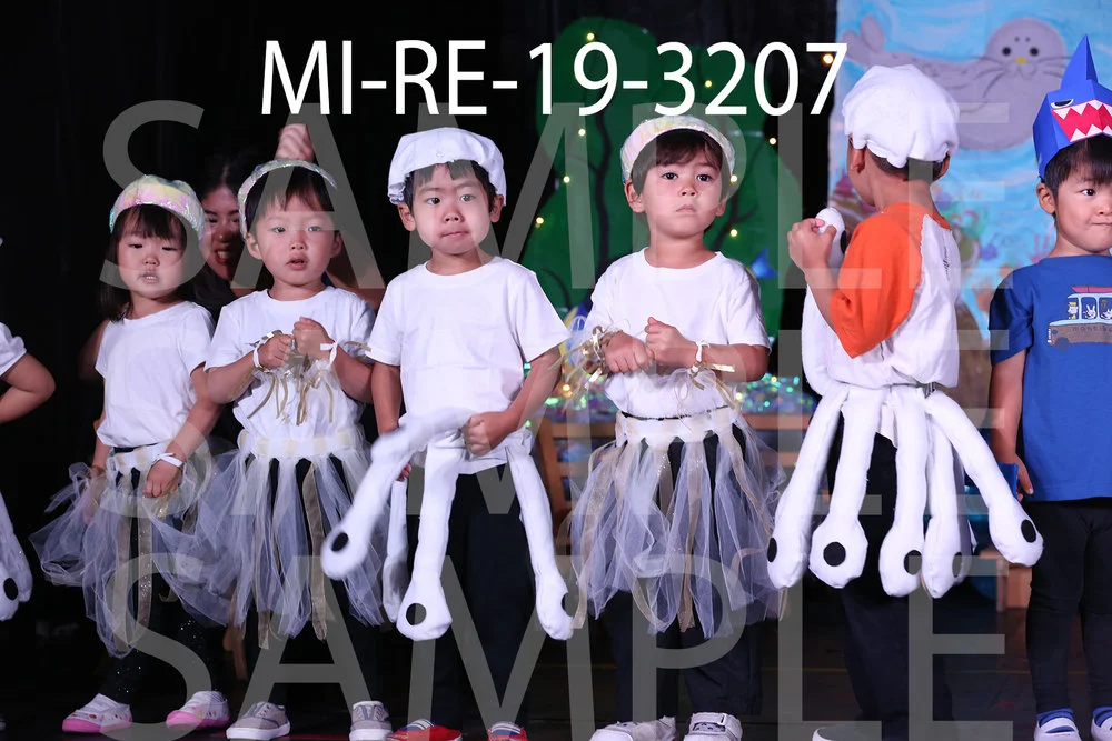 MI-RE-19-3207.jpg