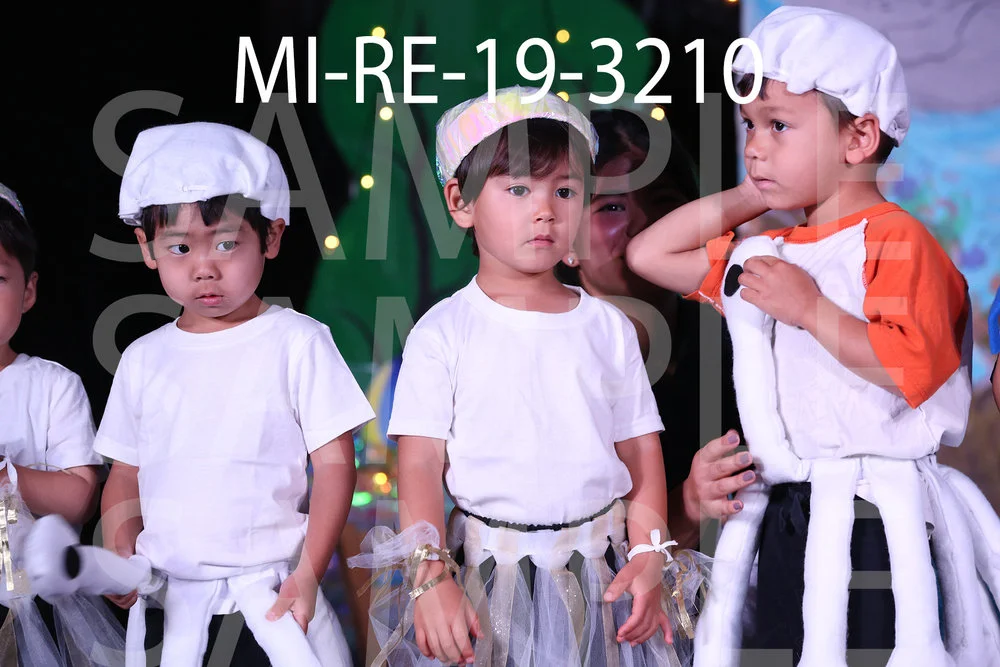 MI-RE-19-3210.jpg