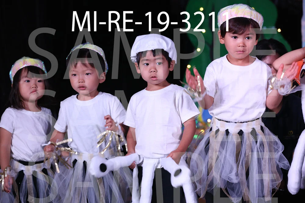 MI-RE-19-3211.jpg
