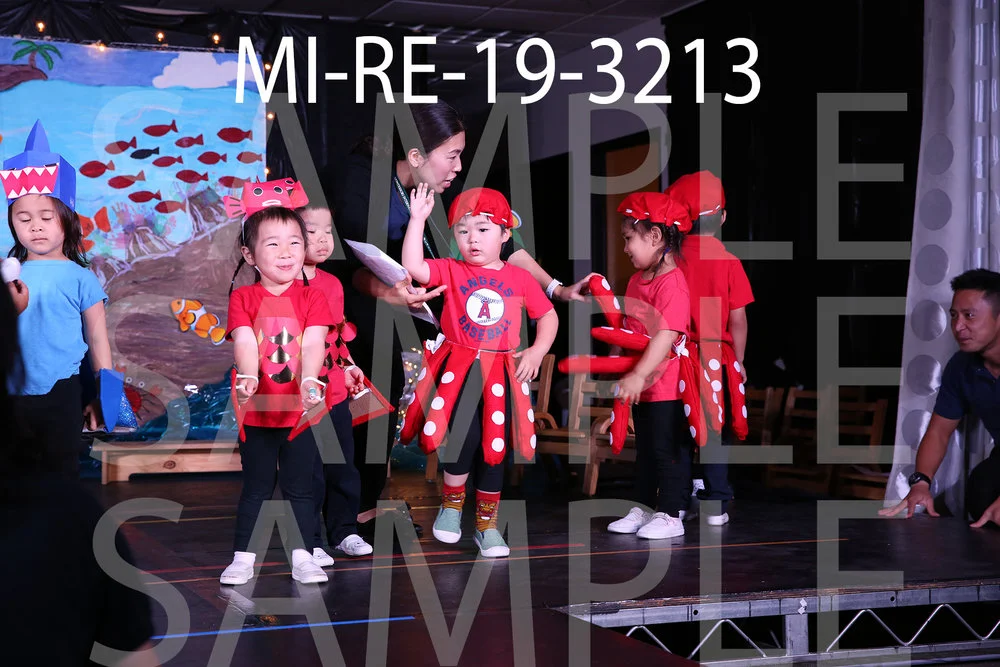 MI-RE-19-3213.jpg