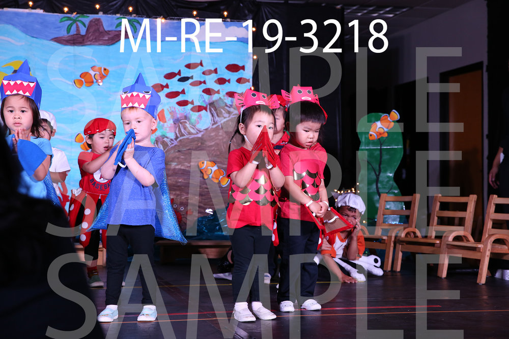 MI-RE-19-3218.jpg