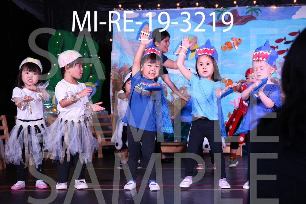 MI-RE-19-3219.jpg