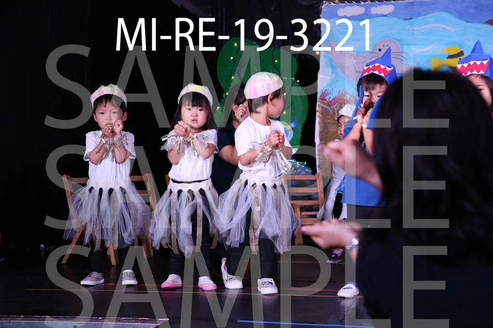MI-RE-19-3221.jpg