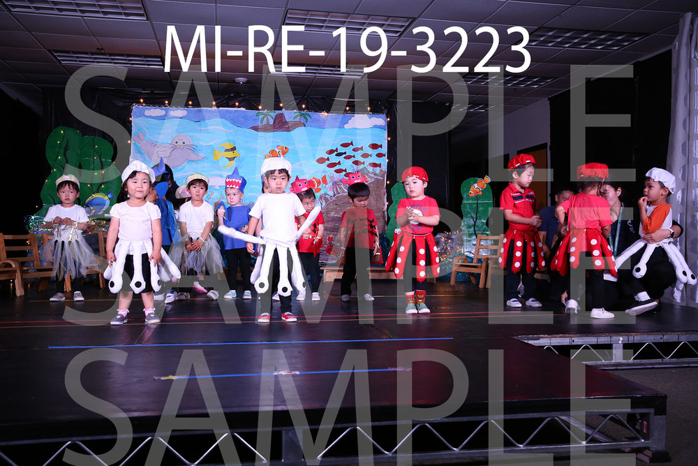 MI-RE-19-3223.jpg